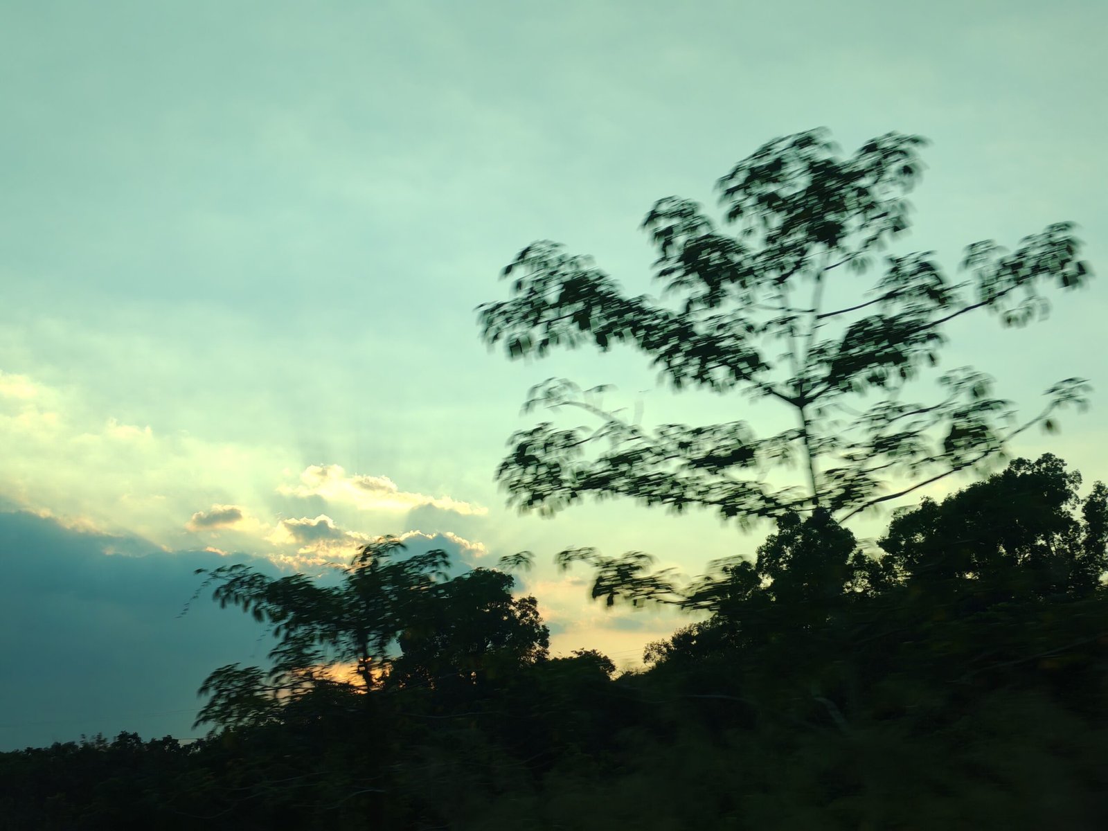 img 20241117 170138 1