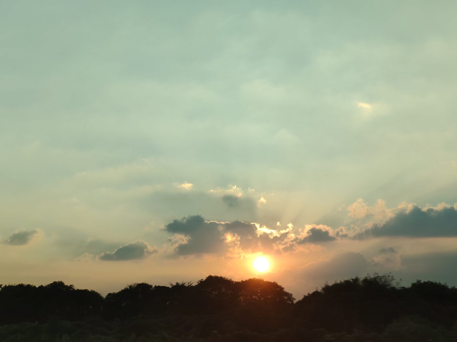 img 20241117 170932 1