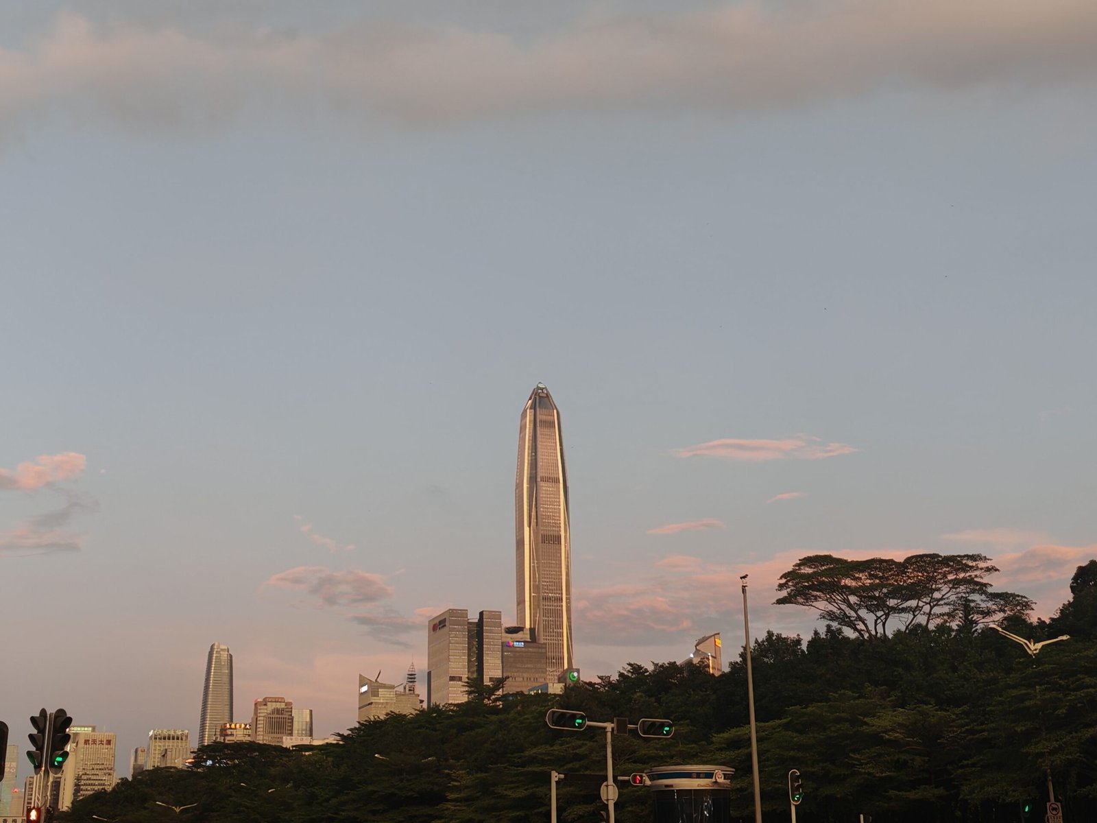 img 20250729 190808 1