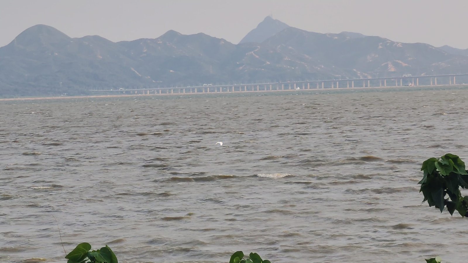 screenshot 20250820 023618574