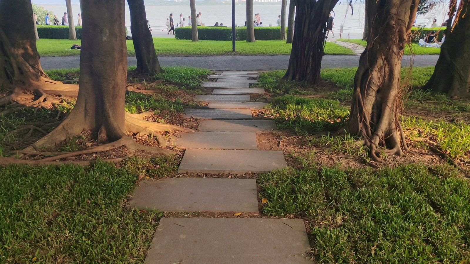 screenshot 20250820 023637808